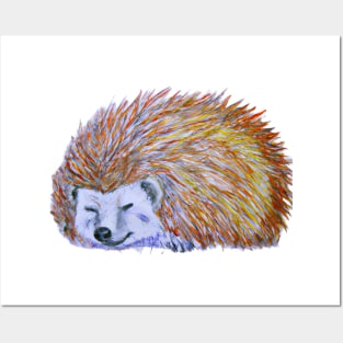 Cute Hedghog Posters and Art